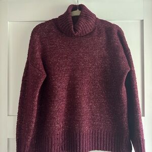Banana Republic Turtle Neck Sweater